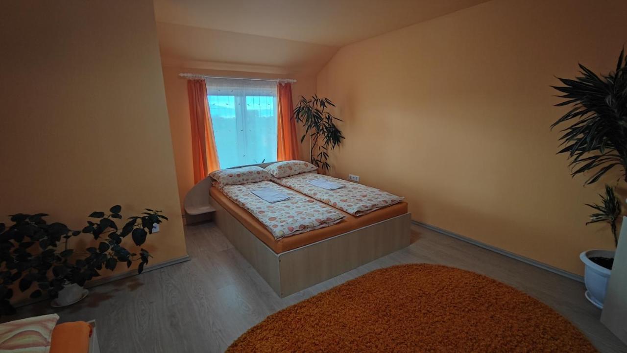 Hotel Gabriella Vendeghaz Lăzarea Exterior foto
